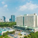 세쌍둥이네 이미지