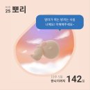 동화세차장 | [임신 기록]19주 차/본격적인 태동👶/ 속쓰림·입덧 재발 🤢 / 감정 기복과 눈물 😭 / 유모차 당근거래...