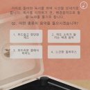 포레스트(forest) 이미지