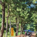 궁촌 | 삼척 해양 레일바이크 용화 궁촌 후기 꿀팁 및 티켓가격