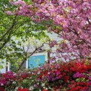 뜨락엔햇살 이미지