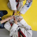 청록태권도장 이미지