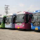 2008년 경상남도 지역축제 (총 91개 ) 이미지