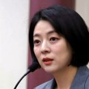 배현진 "장동혁 방미, 본인이 알아서 가는 것"...IRI 성명 공개 이미지