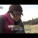 내고향밥상 이미지