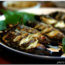 미락뽈락 이미지