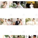 웨스턴베니비스 이미지