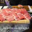 삿뽀로 참치 우동집 | 부산 서면 맛집 삿뽀로참치 참다랑어 뱃살모듬 내돈내산 후기