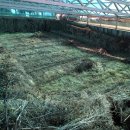 인천경서동녹청자요지 이미지