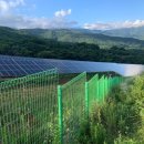 소나무 태양광발전소 이미지