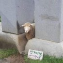 매일을 너에게