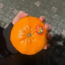 레드향PC방 | 오렌지