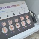 청력관리센터