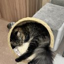 쿤이네집 이미지