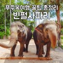(주)워터세이빙 | 푸꾸옥 여행 빈펄사파리 입장권 꿀팁 총정리