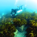 이로운바다 이미지