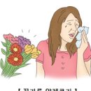 봄철 꽃가루 알레르기 증상 (비염, 결막염, 피부염, 천식) 이미지
