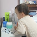 영대동물병원 이미지