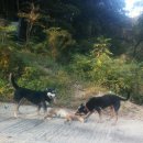 은별농장 이미지