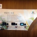 회산백련지 수상유리온실 이미지