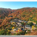 범어사 Daum카페