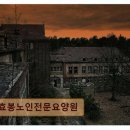 219 | 수원 장안구 요양센터 효봉노인전문요양원 시설 깔끔하고 요양사 친절