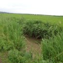 장백농장 이미지