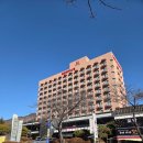 삼성온천사우나 | 부곡 온천 가족탕 키즈룸 대실 삼성온천호텔 내돈내산 후기