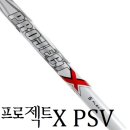 프로젝트 엑스(PROJECT X) 이미지