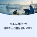 오징어천국 - 달서구 이곡서로 25 | 오징어천국