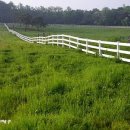 너른초원 이미지