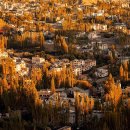 필요한정신건강의학과의원 이미지