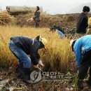 미원6리 연합뉴스
