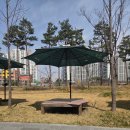 삼봉중앙로 공원 | 따뜻한 봄날,3월 마지막주 일요일 어느 하루(부제,벚꽂과 함께하는 완주군 삼례읍 삼봉지구 공원 산책)😄