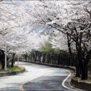 파미힐스 컨트리클럽 이미지