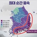 가짜삼촌여행사