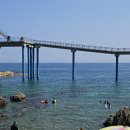 거진활어회센터 | 강원도 고성 당일치기 물놀이 여행 | 백섬해상전망대 숨겨진 스노클링 명소 🤿 | 주변맛집 주차 샤워장...