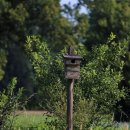 엘에스메디칼 이미지