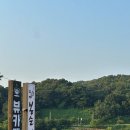 [물왕저수지] 물왕저수지 짜지않은 게장맛집으로 유명한 봉순게장 내돈내산 솔직후기