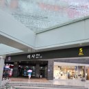 지니미용실 이미지