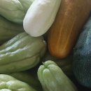 안해님농장 이미지