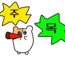 시우폰케이스
