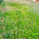 다올농장 이미지