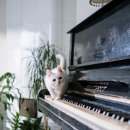 몽글몽글 이미지