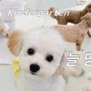 늘멍 네이버블로그