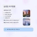 가족이 함께 떠나는 숲체험 & 놀이-날아라 거미줄 | 아이와 함께 떠나는 가을 체험 여행지