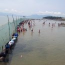 남해-294 이미지