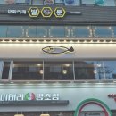 남해물고기 이미지