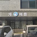 개예쁨 이미지