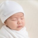 현대세탁전문점 | 완콩이는 현재 29주, 임신후기 일상